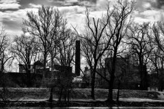 Modern-Ruins-Through-The-Trees-scaled